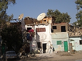 Lupo Egitto 2 002